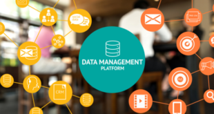 Microsoft Dynamics CRM Portal: Streamlining Customer Engagement